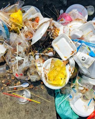 Bandeja de vajilla descartable de un solo uso desechada